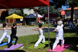 9127430215_1ef82f0081_z